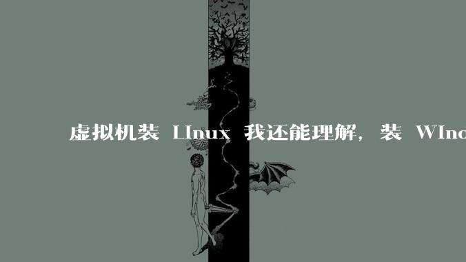 虚拟机装 Linux 我还能理解，装 Windows 有什么用？
