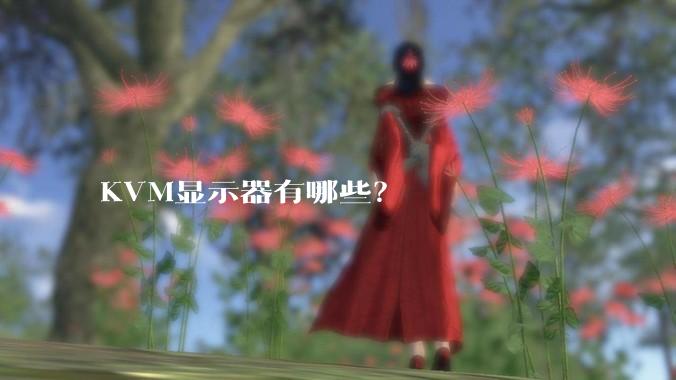 KVM显示器有哪些？
