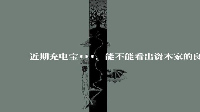 近期充电宝***，能不能看出资本家的良心坏了？