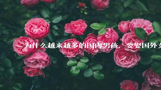 为什么越来越多的国内男孩，要娶国外女孩?