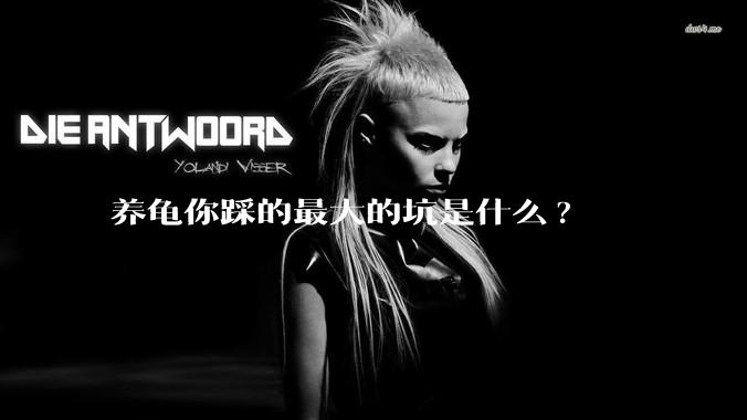 养龟你踩的最大的坑是什么?