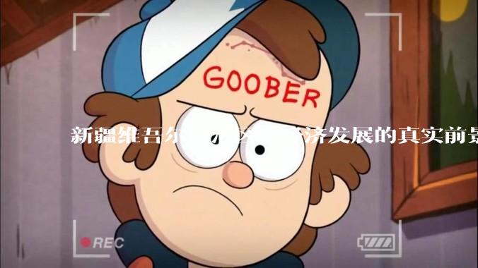 新疆维吾尔自治区，经济发展的真实前景如何？