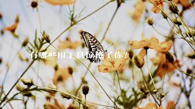 有哪些BI工具惊艳了你？