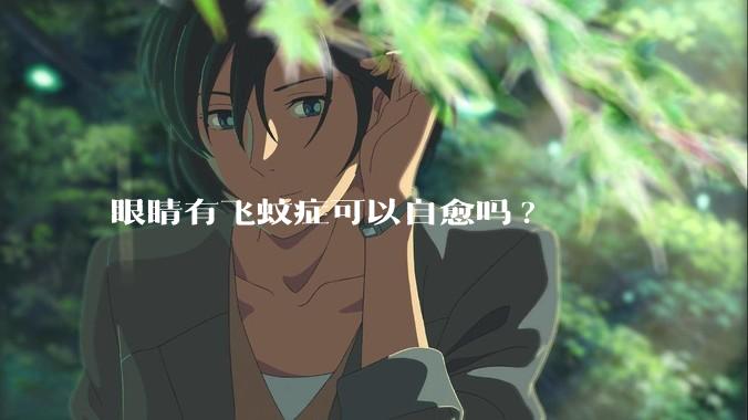 眼睛有飞蚊症可以自愈吗?