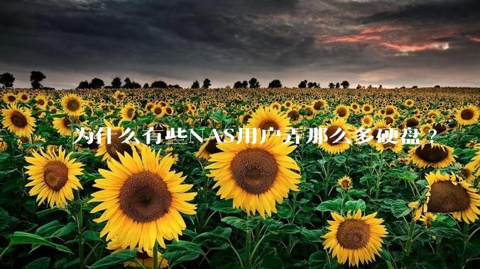 为什么有些NAS用户弄那么多硬盘?