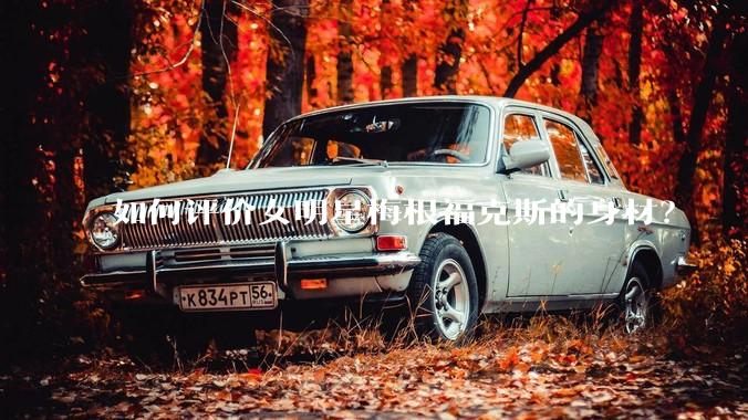 如何评价女明星梅根福克斯的身材？