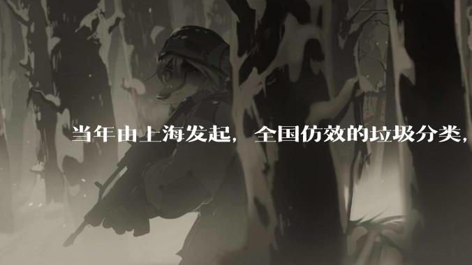 当年由上海发起，全国仿效的垃圾分类，现在为什么没人搞了？