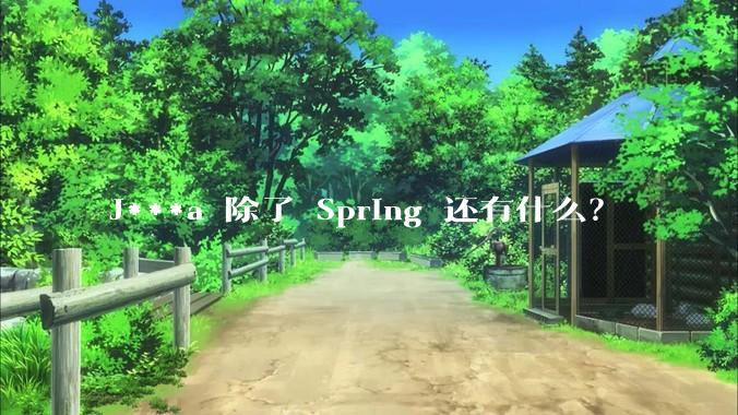 J***a 除了 Spring 还有什么？