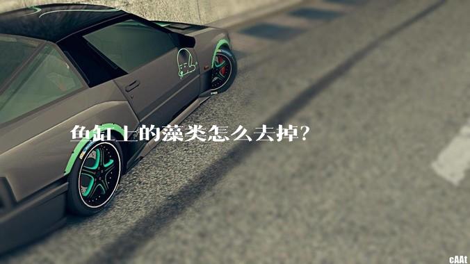 鱼缸上的藻类怎么去掉？