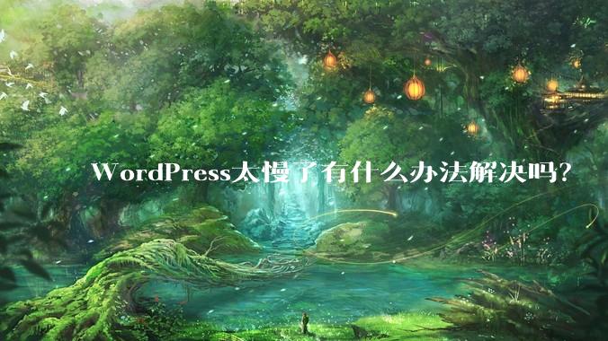 WordPress太慢了有什么办法解决吗？