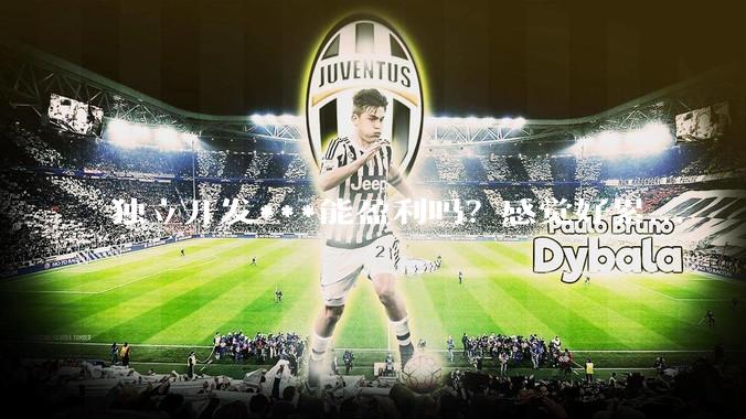 独立开发***能盈利吗？感觉好累...