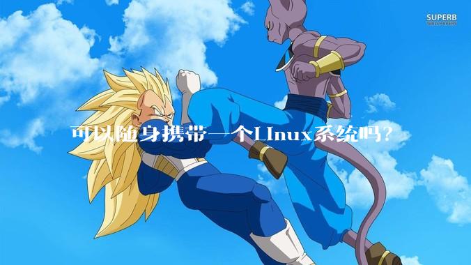 可以随身携带一个Linux系统吗？
