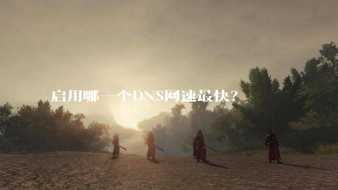 启用哪一个DNS网速最快？