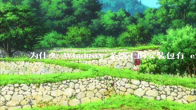 为什么 Windows 系统上的安装包有 exe 和 msi 两种格式，有什么区别？